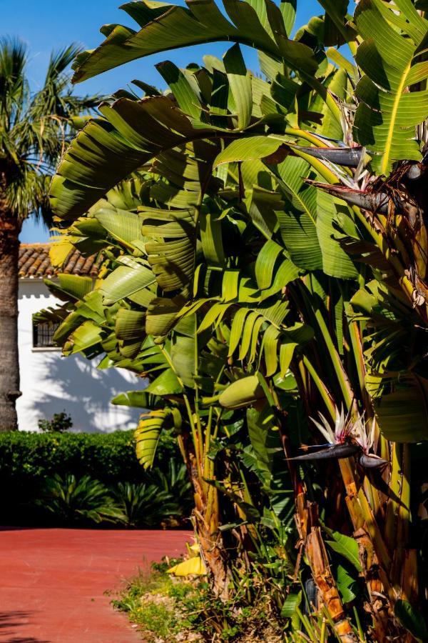 Aparthotel Alfas Oasis L'Alfas del Pi Exterior foto